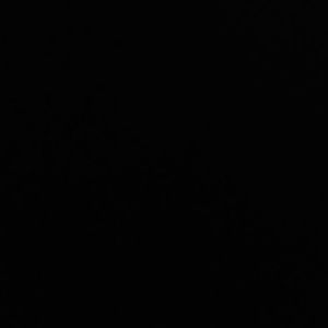 Meet your Posher, Alisia